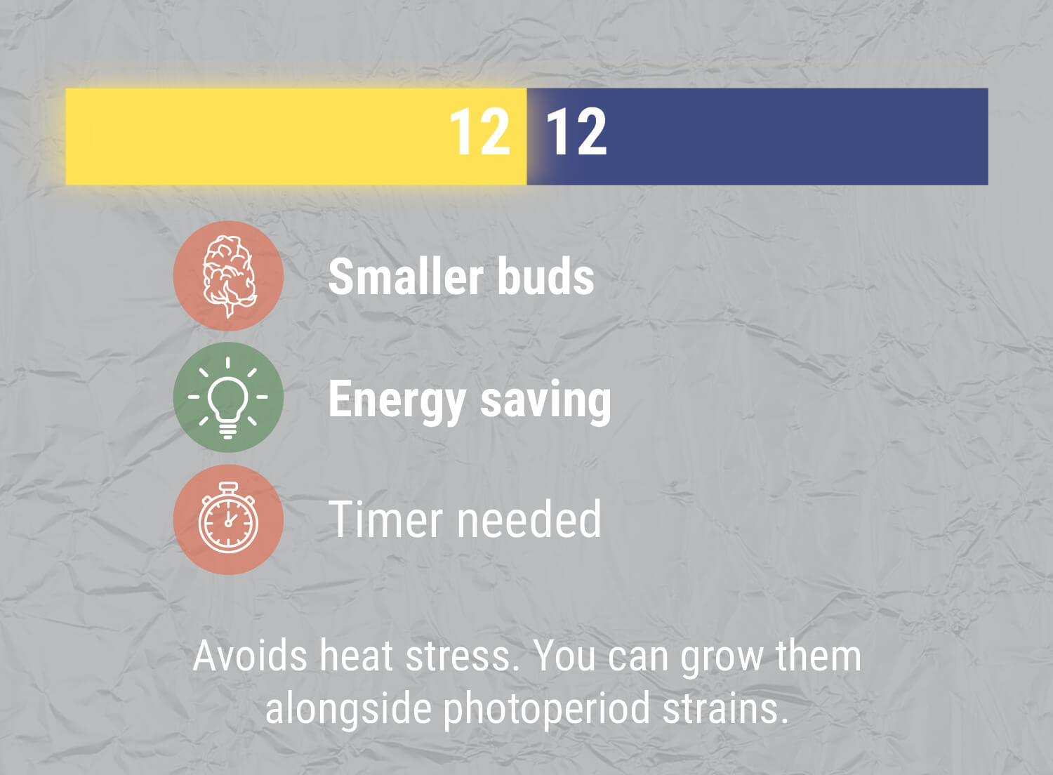 The Perfect Light Schedules For Autoflower Cannabis RQS Blog
